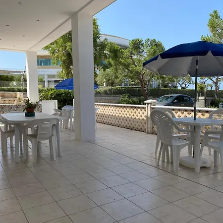 Corvino * モノーポリ